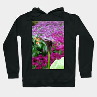 Japanese Spring Study 10 Hoodie